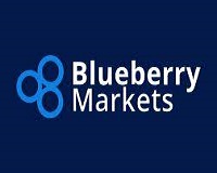 Blueberry Markets logo